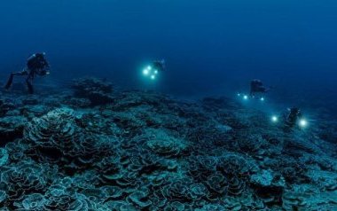Décolonisation : l’histoire inachevée des derniers peuples sous tutelle
